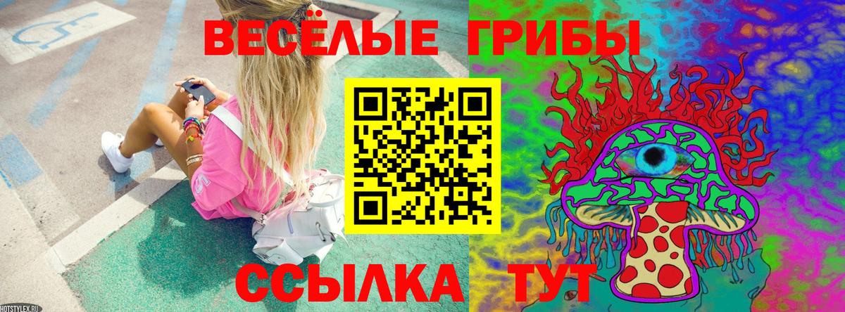Псилоцибиновые грибы прущие грибы  Вход с VPN  Волгоград 