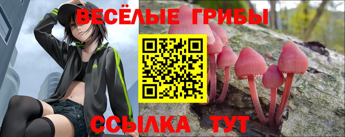 Галлюциногенные грибы MAGIC MUSHROOMS Волгоград